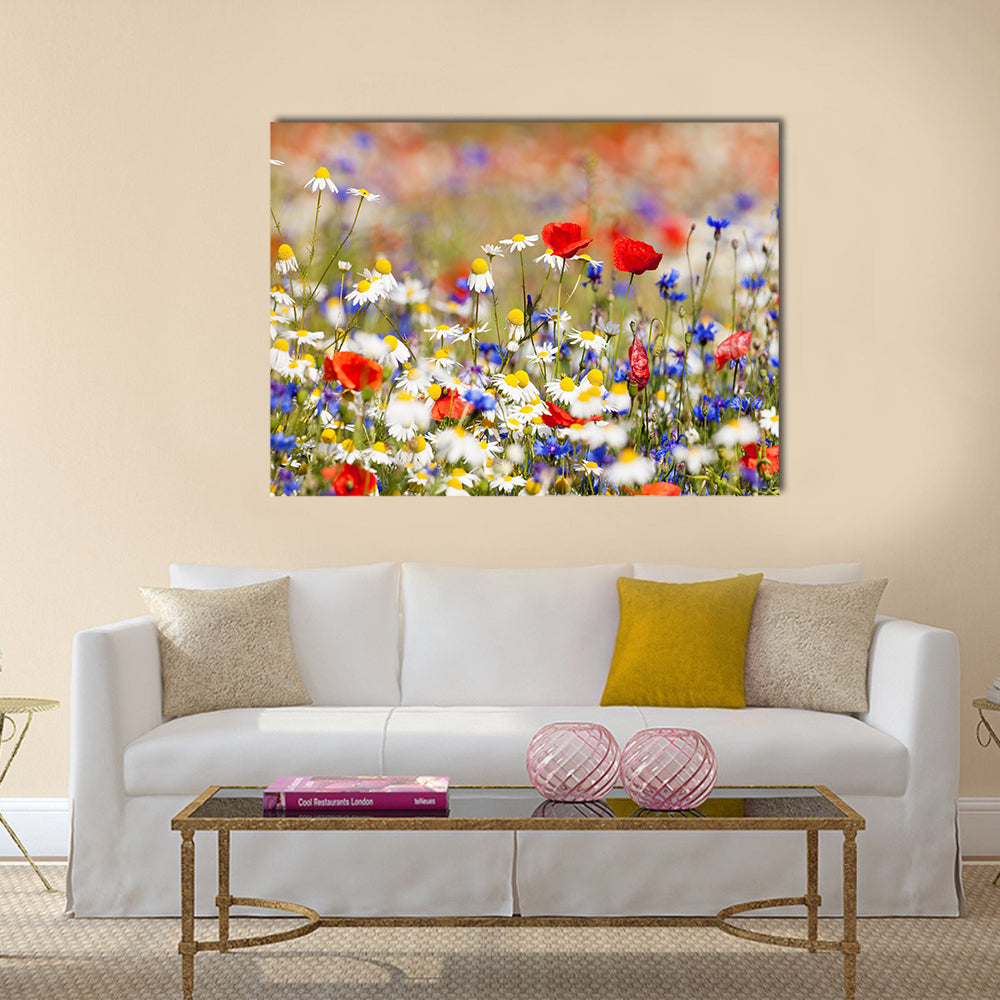 Abundance of blooming wild flowers on the meadow at spring time Multi Panel Canvas Wall Art