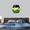 golf club and golf ball close up in grass field with sunset hexagonal canvas wall art