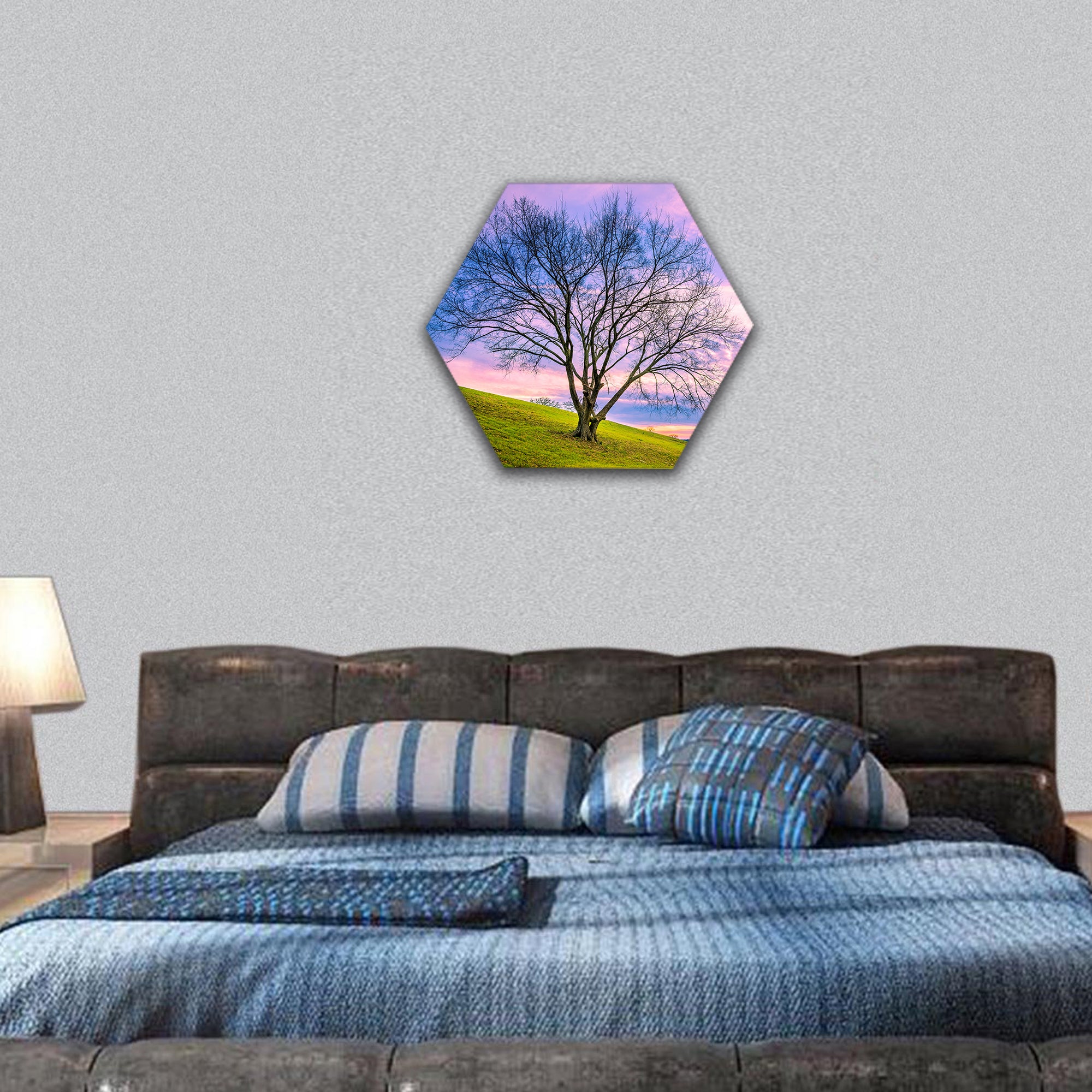 Sunset behind leafless winter tree hexagonal canvas wall art