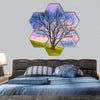 Sunset behind leafless winter tree hexagonal canvas wall art