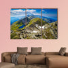 Landscape from the rocky Fagaras Mountains in Romania in the summer wall art