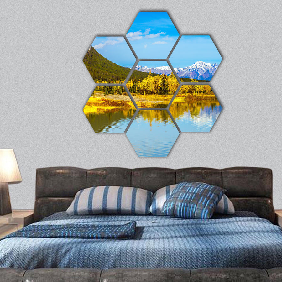 Birds fly over the Rocky Mountains, Abraham lake hexagonal canvas wall art