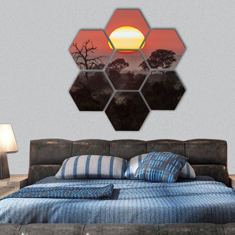 Sunset scenery in Kruger National Park, South Africa hexagonal canvas wall art