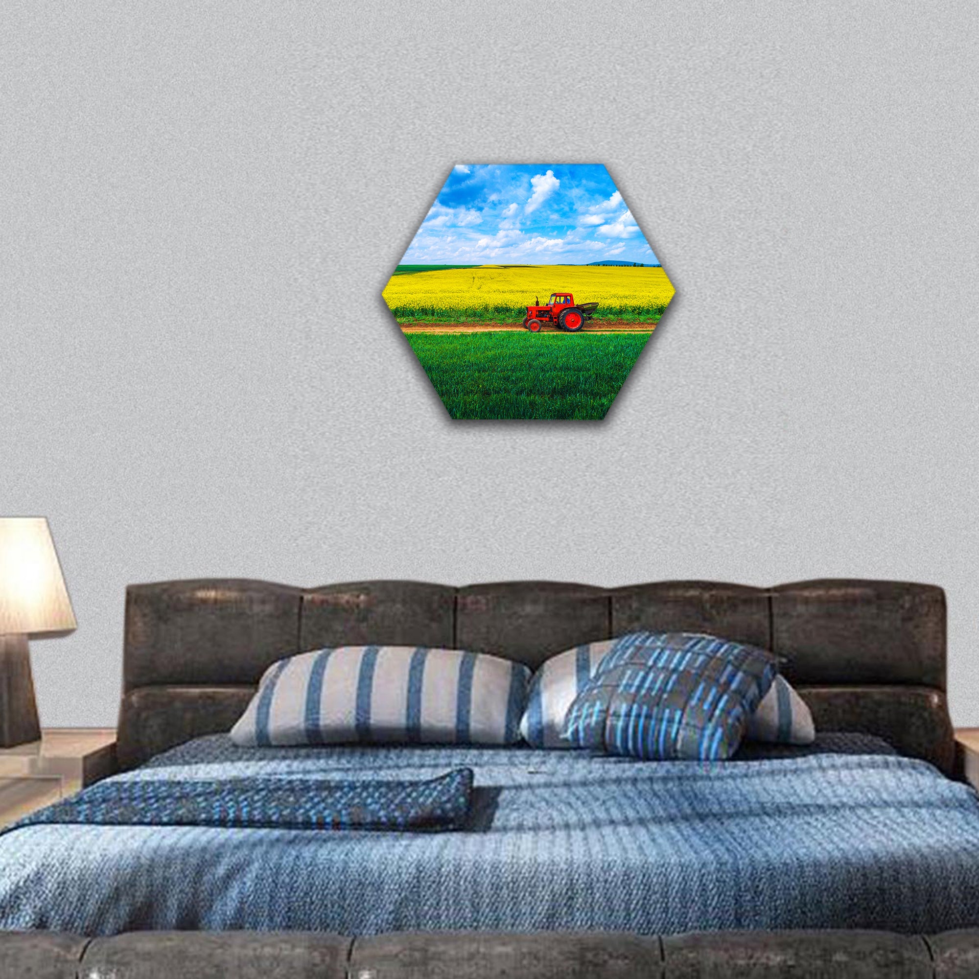 Aerial view over the agricultural fields hexagonal canvas wall art
