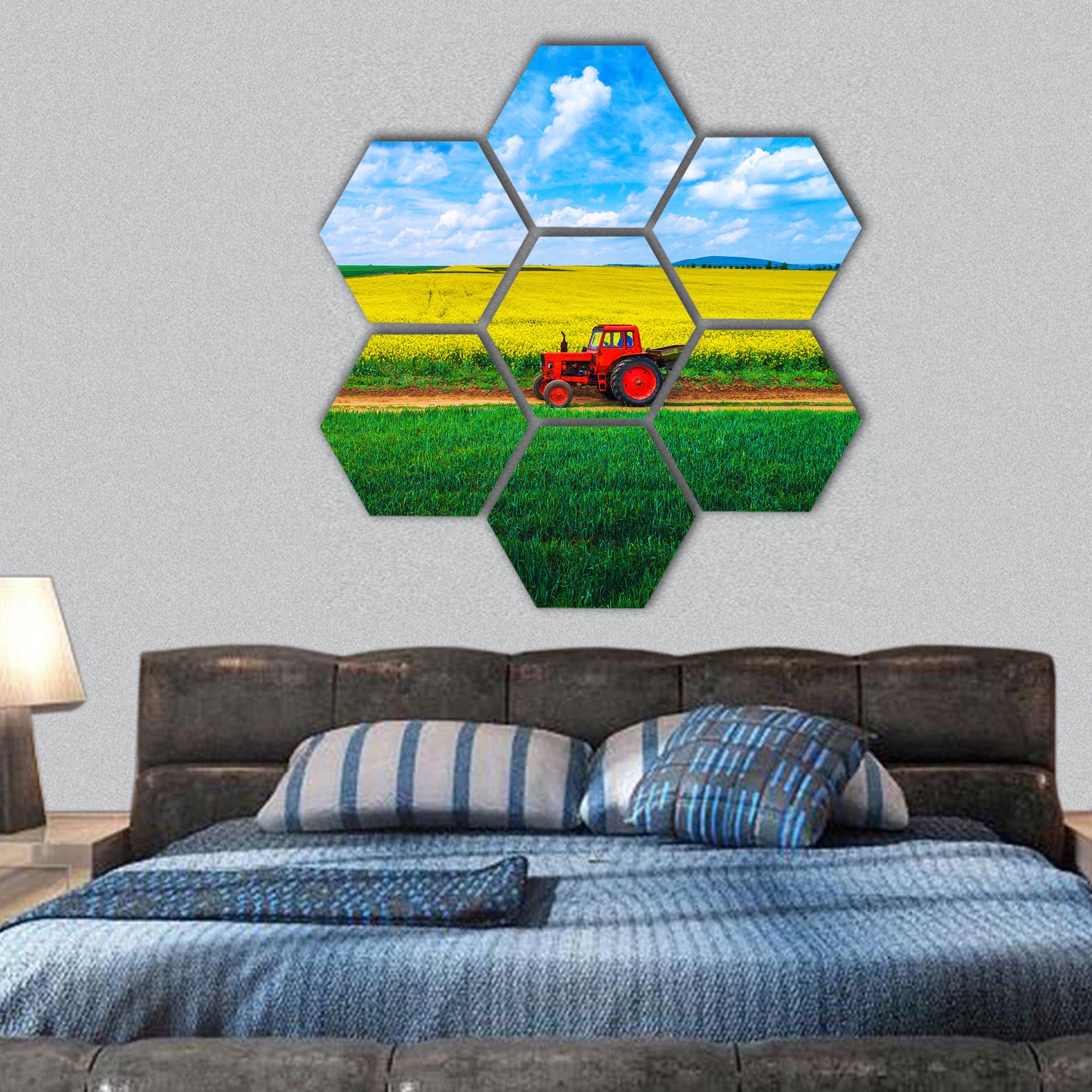 Aerial view over the agricultural fields hexagonal canvas wall art