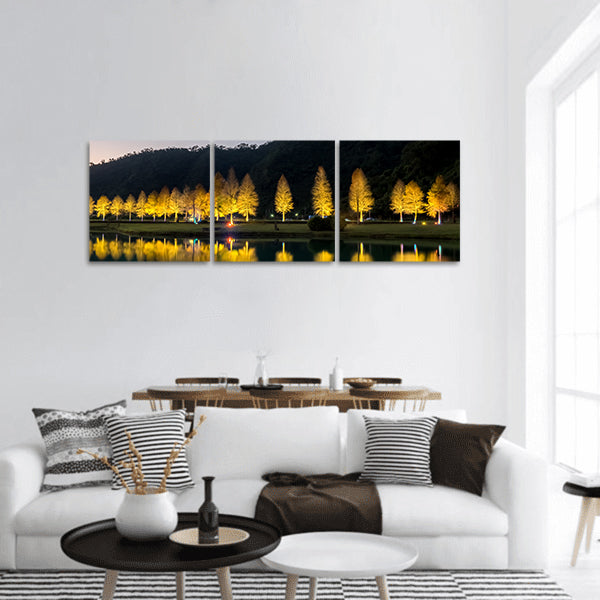 Night view of the bald panoramic canvas wall art