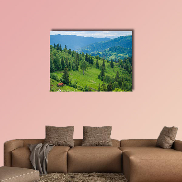 Ukrainian Carpathian Mountains and mountain valleys in the summer wall art