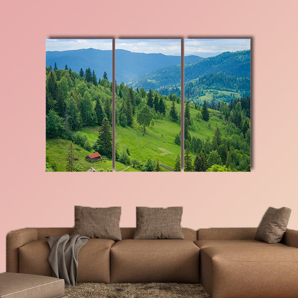Ukrainian Carpathian Mountains and mountain valleys in the summer wall art