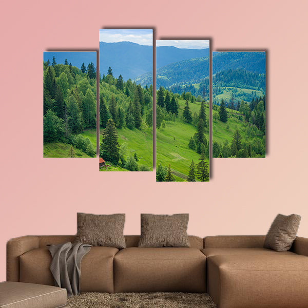 Ukrainian Carpathian Mountains and mountain valleys in the summer wall art