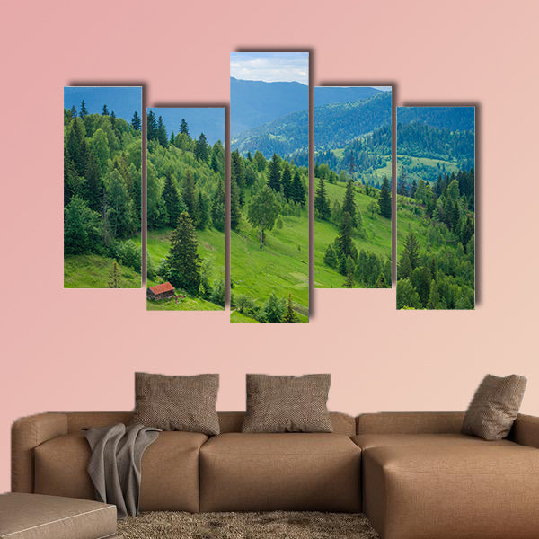 Ukrainian Carpathian Mountains and mountain valleys in the summer wall art