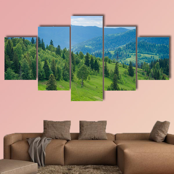 Ukrainian Carpathian Mountains and mountain valleys in the summer wall art