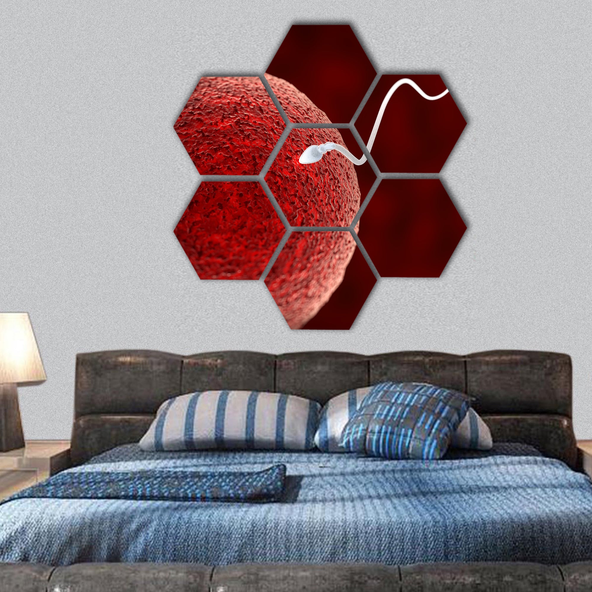 Spermatozoon Fertilizing Ovum hexagonal canvas wall art
