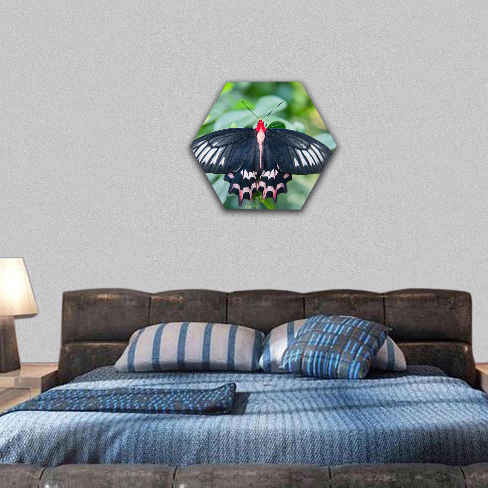 Beautiful swallowtail butterfly hexagonal canvas wall art