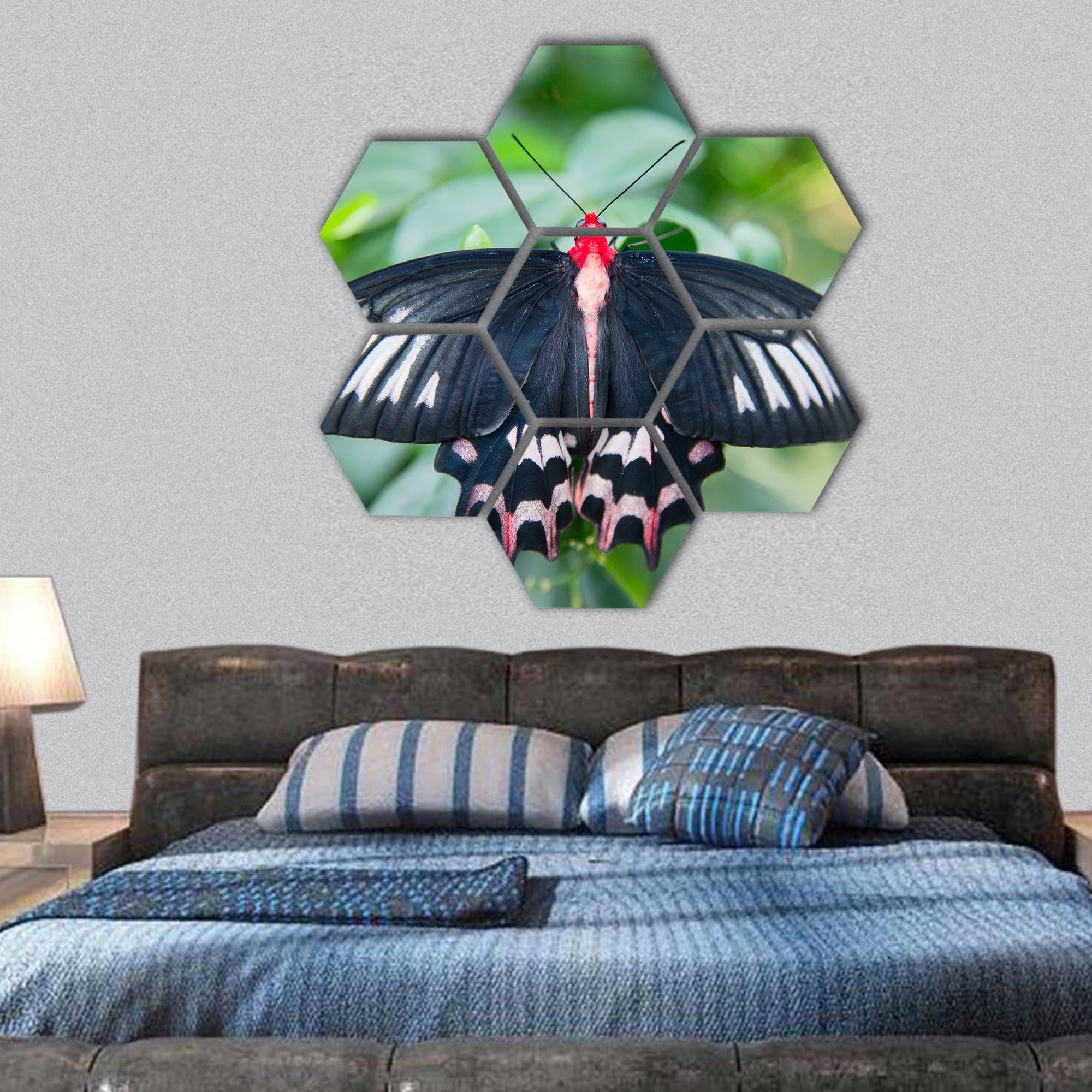 Beautiful swallowtail butterfly hexagonal canvas wall art