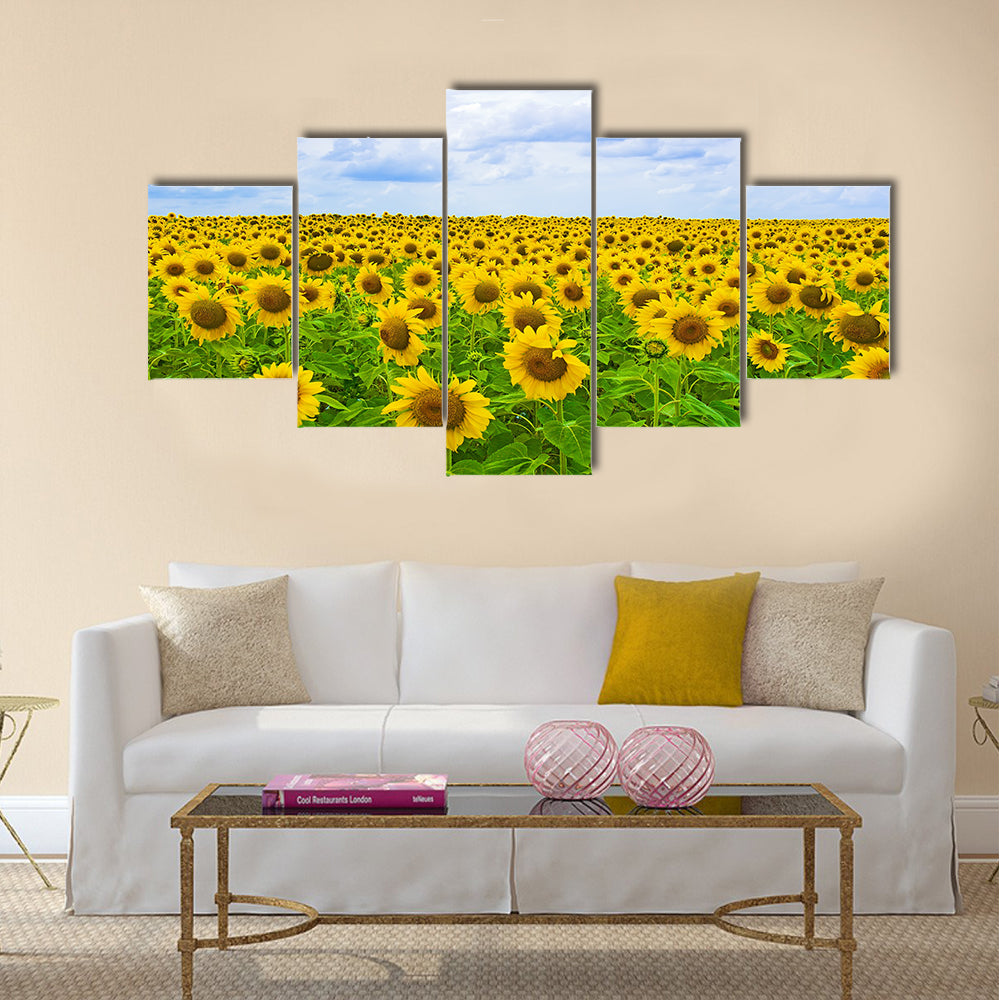 Fine summer field of sunflowers in the blue sky Multi panel canvas wall art