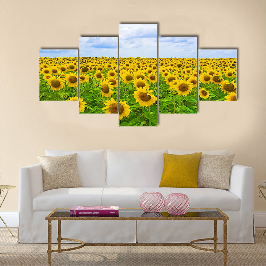 Fine summer field of sunflowers in the blue sky Multi panel canvas wall art