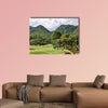 Golf course on the green mountains next to Caracas (Venezuela), Multi Panel Canvas Wall Art