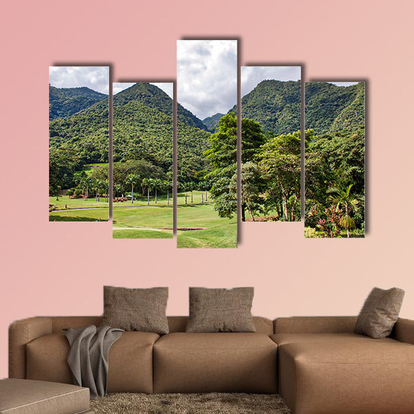 Golf course on the green mountains next to Caracas (Venezuela) wall art