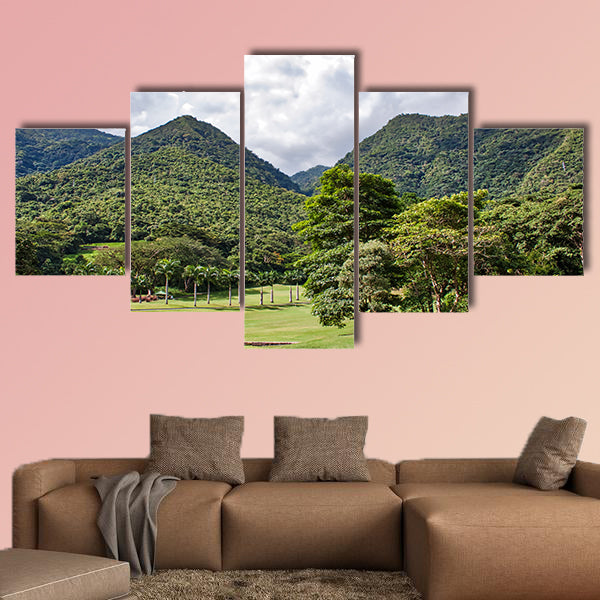 Golf course on the green mountains next to Caracas (Venezuela) wall art