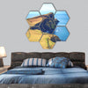 Tourist destination on Isle of Skye, Scotland hexagonal canvas wall art