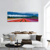 Tulip festival in Chilliwack panoramic canvas wall art