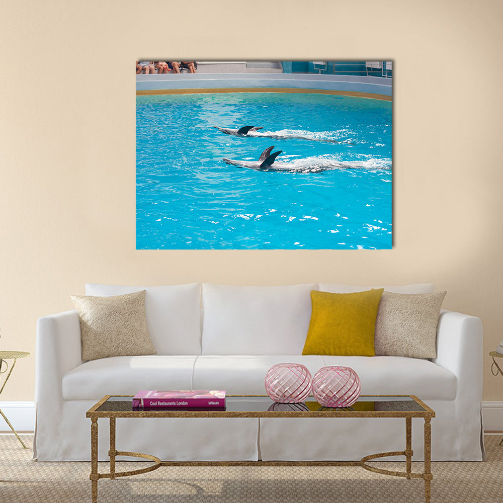 dolphin animals at the dolphinarium arena multi panel canvas wall art