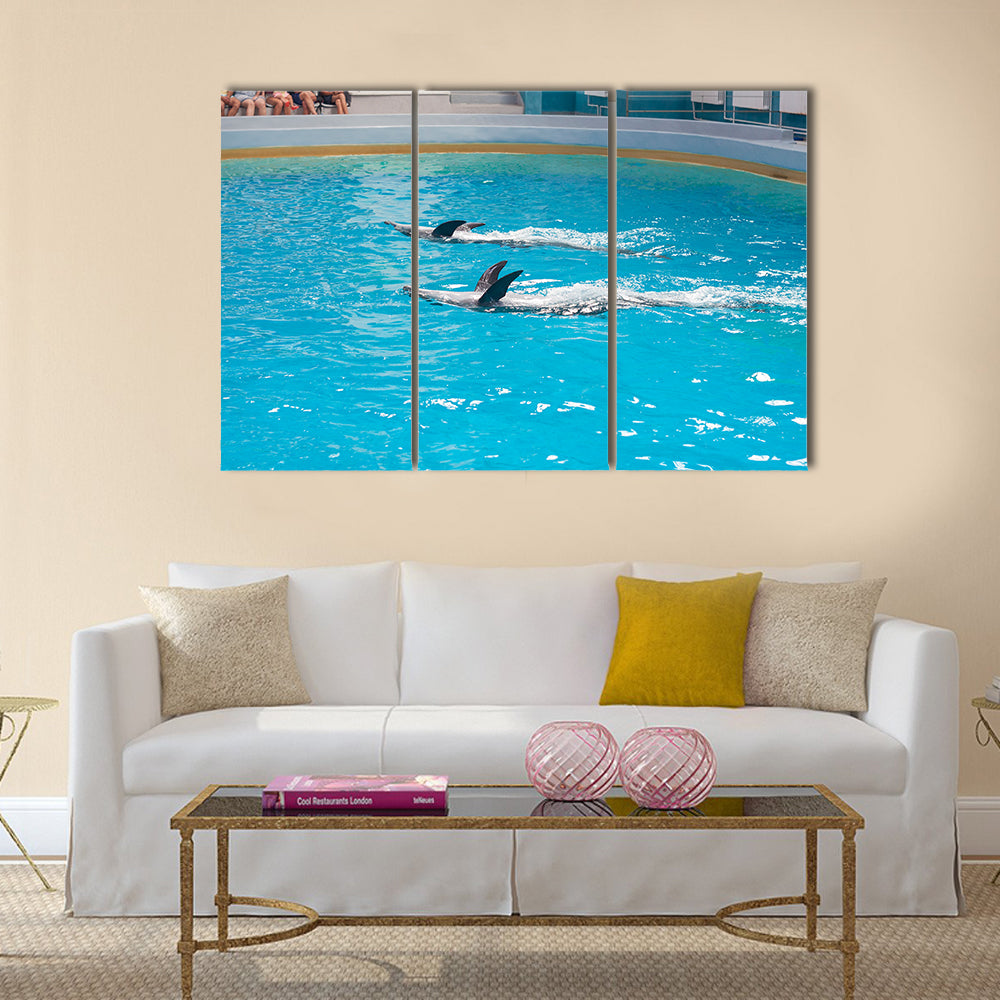 dolphin animals at the dolphinarium arena multi panel canvas wall art