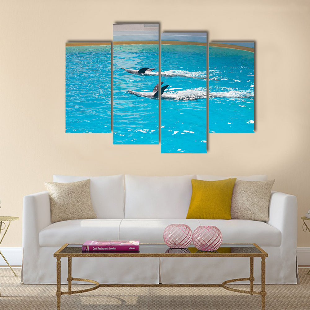 dolphin animals at the dolphinarium arena multi panel canvas wall art