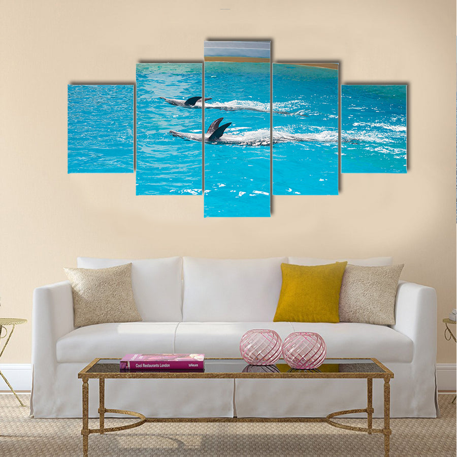 dolphin animals at the dolphinarium arena multi panel canvas wall art