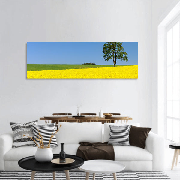 Field of rapeseed panoramic canvas wall art