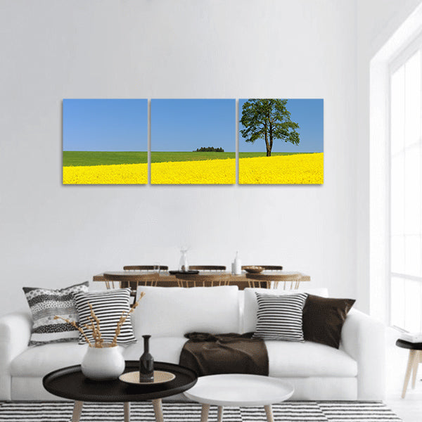 Field of rapeseed panoramic canvas wall art