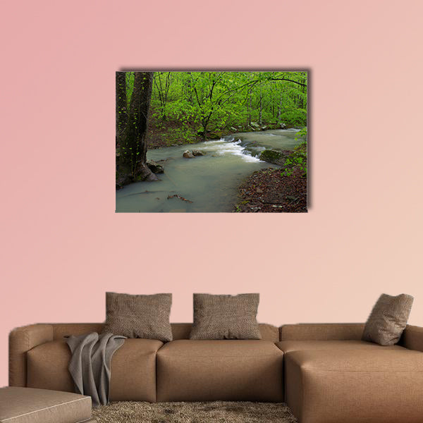 Arkansas Waterfalls and Streams in Forrest multi panel canvas wall art