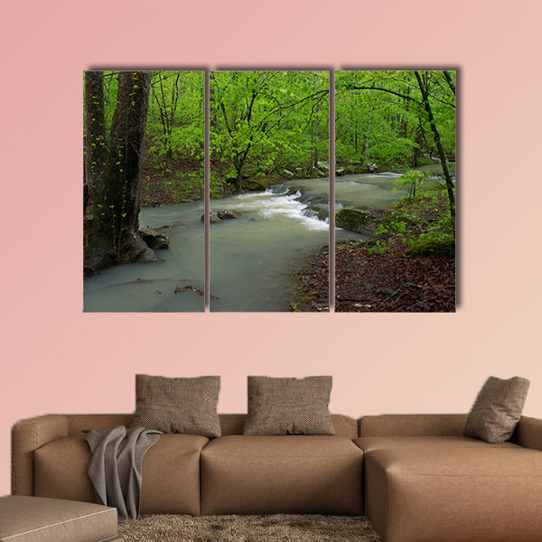 Arkansas Waterfalls and Streams in Forrest multi panel canvas wall art