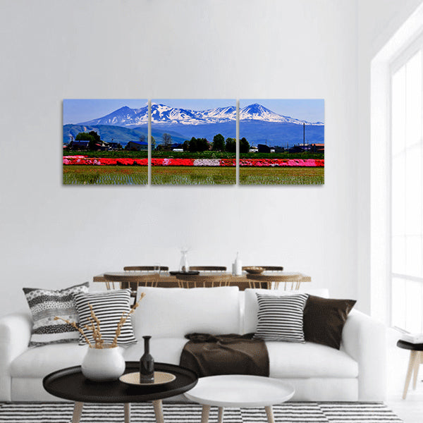 Taisetsuzan and Moss phlox panoramic canvas wall art