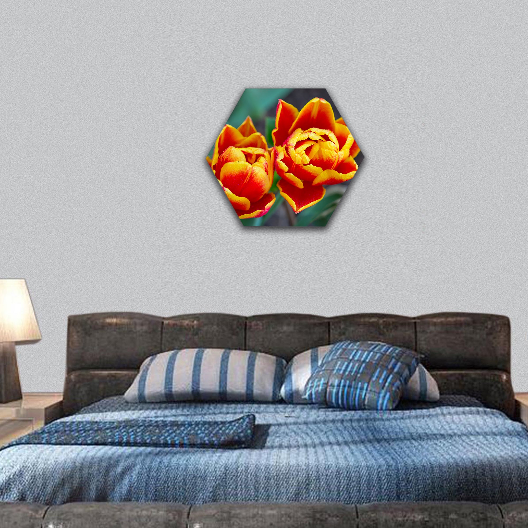 Red tulips closeup isolated hexagonal canvas wall art