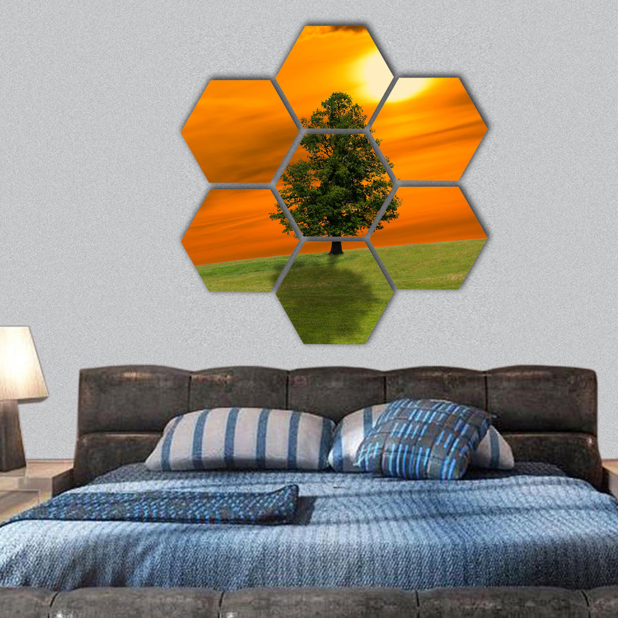 Lonely tree on the green field hexagonal canvas wall art