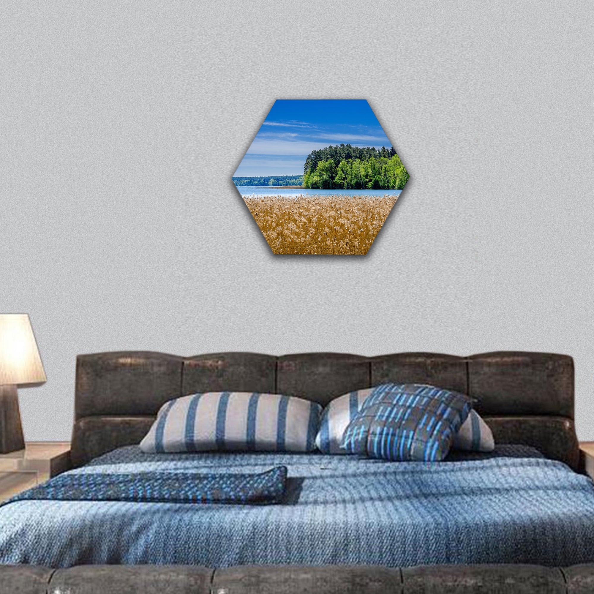 Shore of the Pluszne lake, Poland hexagonal canvas wall art