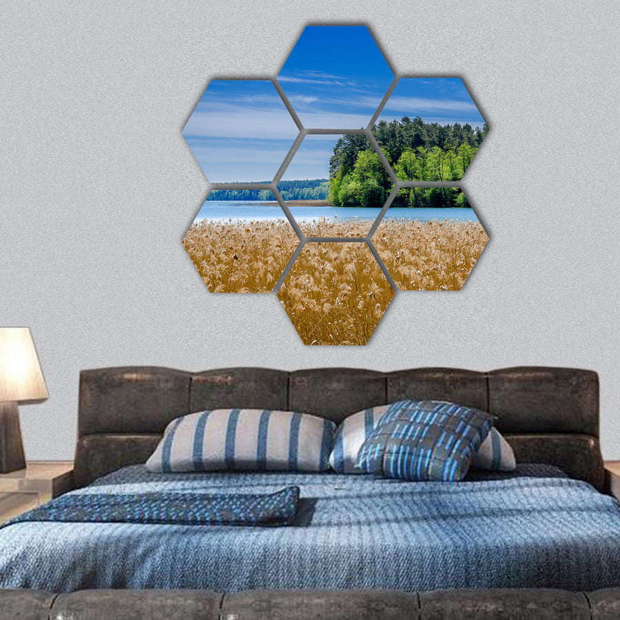 Shore of the Pluszne lake, Poland hexagonal canvas wall art