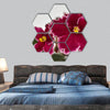 African violet plant variety Emergency hexagonal canvas wall art