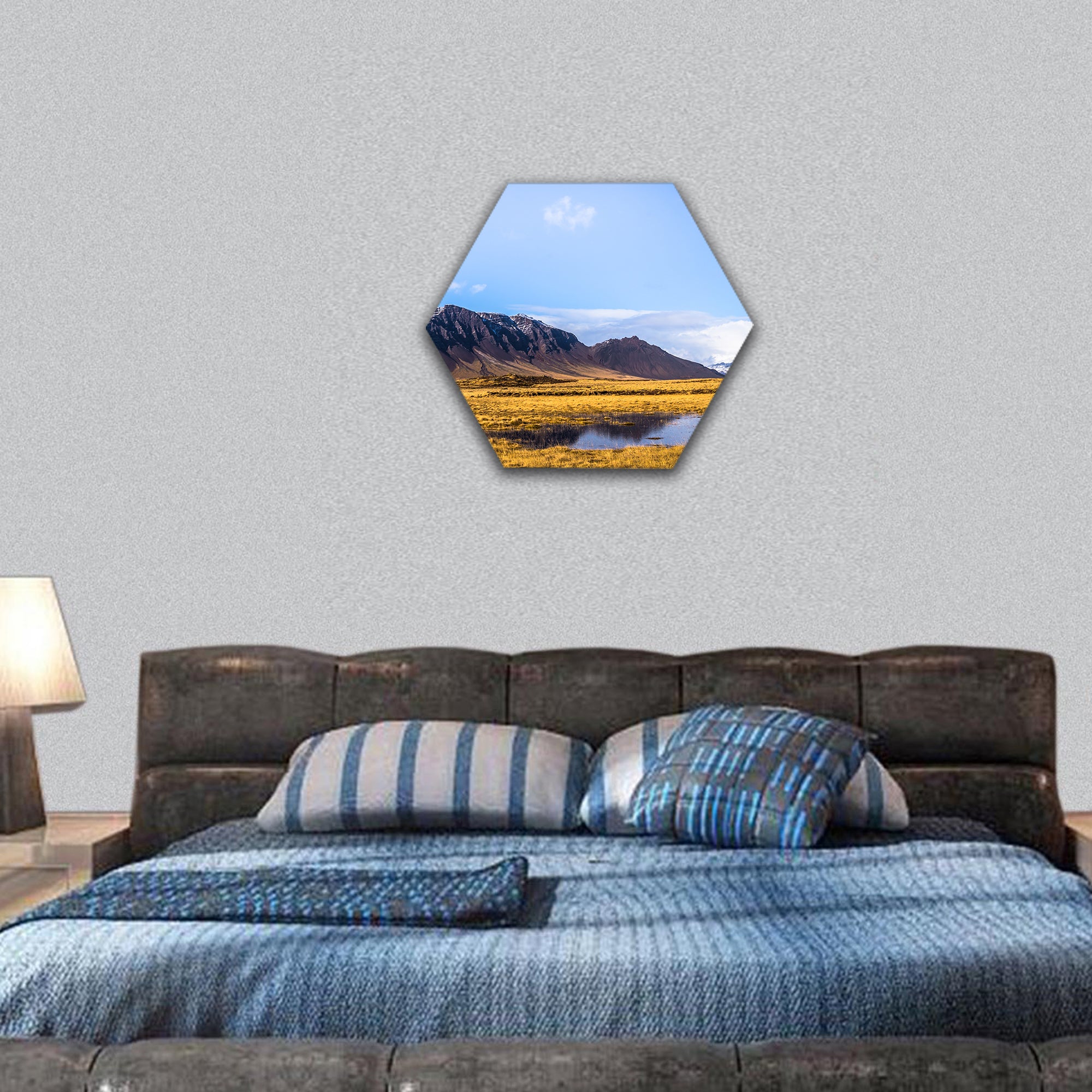 Snaefellsjoekull national park, Iceland hexagonal canvas wall art