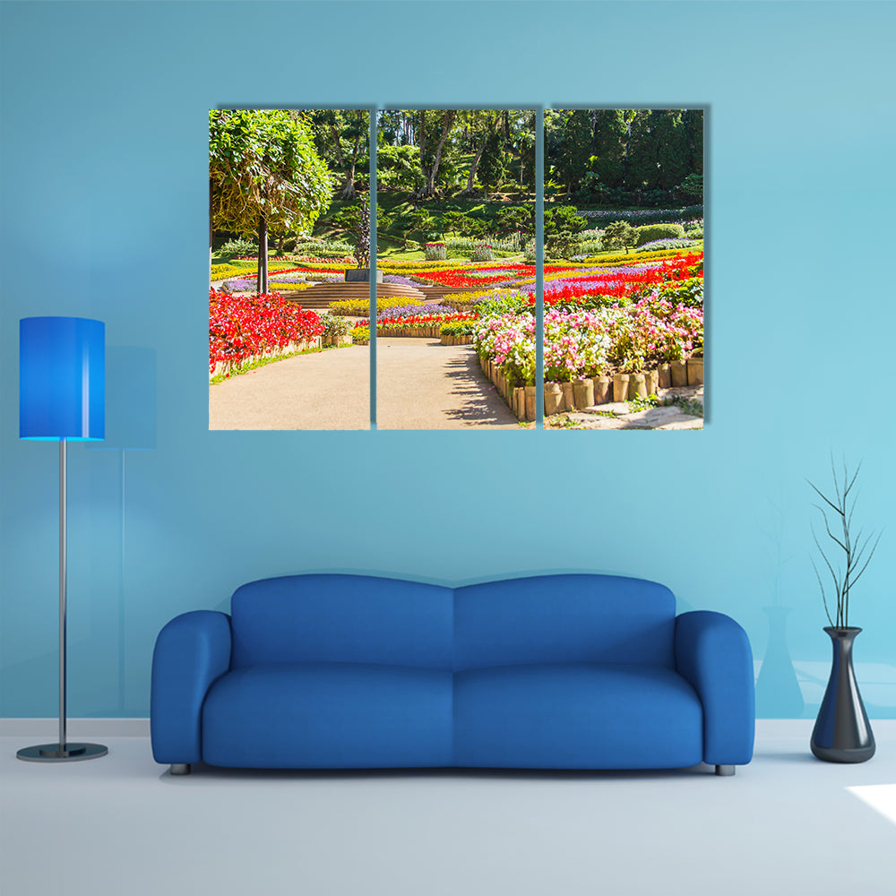 The Chiang Rai, Garden Of Cold Winter Flowers And Auspicious Trees, Thailand Multi Panel Canvas Wall Art