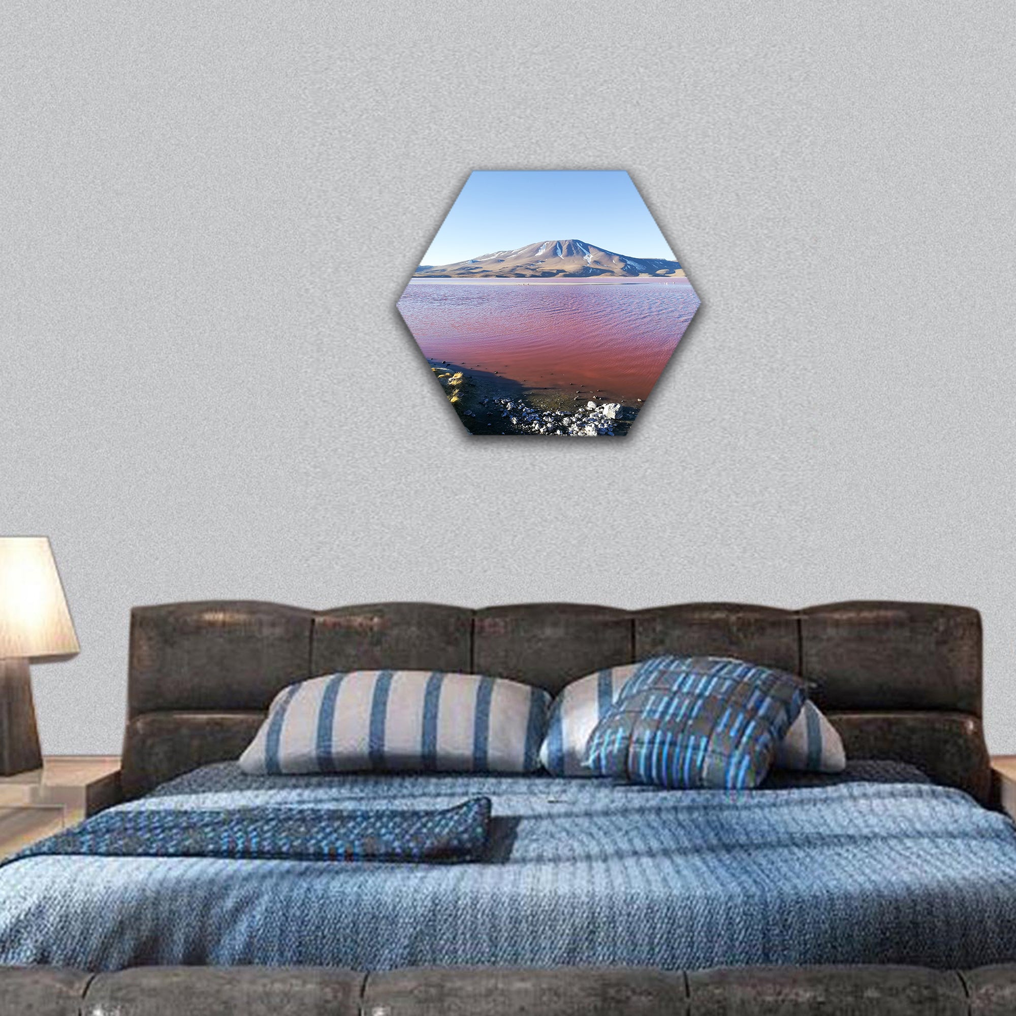 Laguna Colorado landscape Bolivia hexagonal canvas wall art