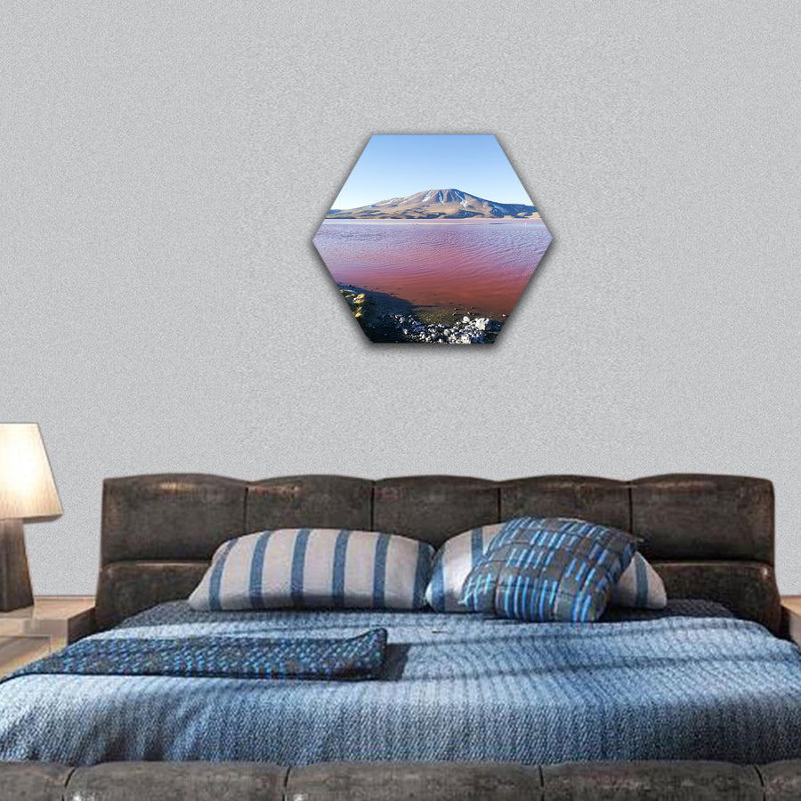 Laguna Colorado landscape Bolivia hexagonal canvas wall art