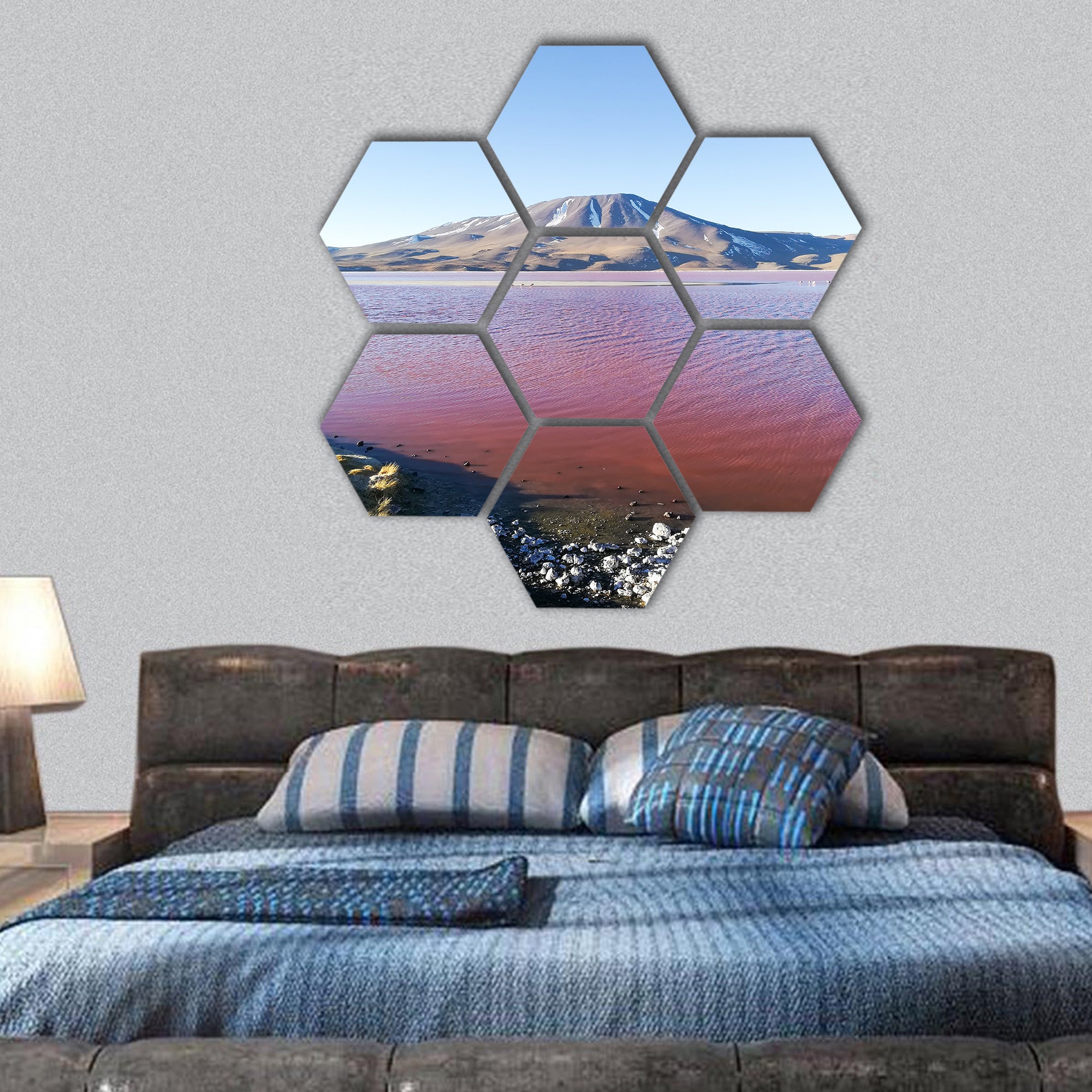 Laguna Colorado landscape Bolivia hexagonal canvas wall art
