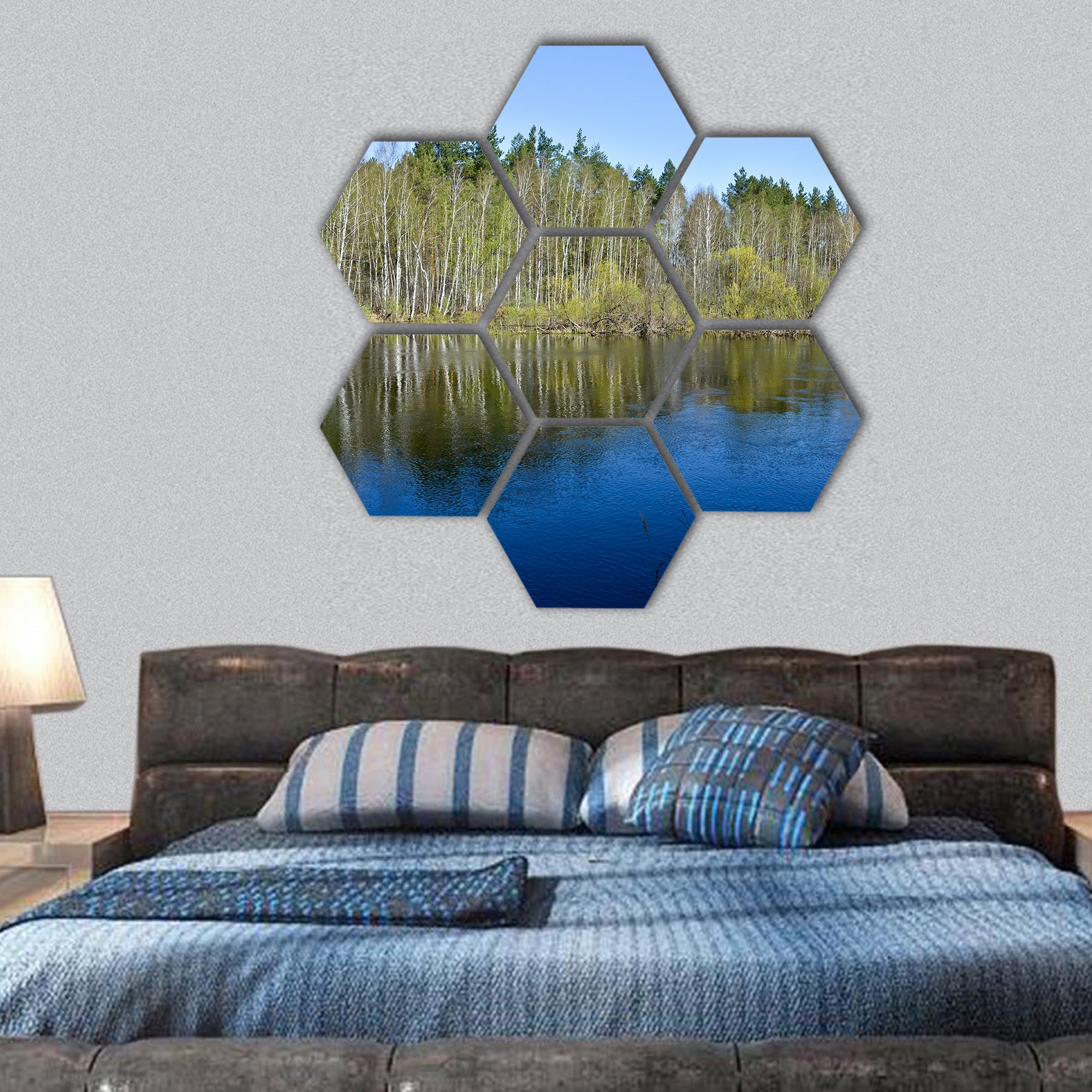 May water landscape in the national park, Russia hexagonal canvas wall art
