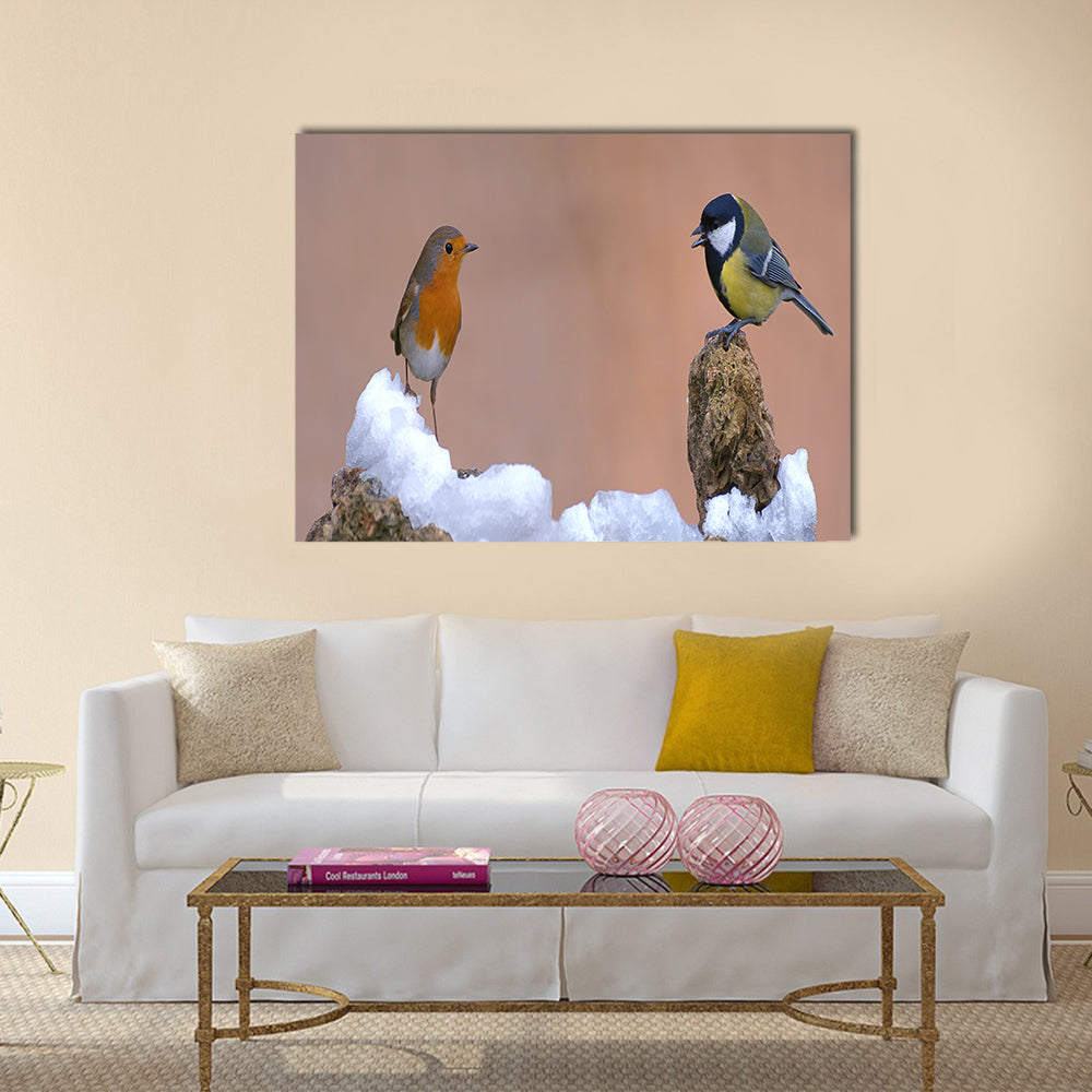 Robin and Great tit Multi panel canvas wall art