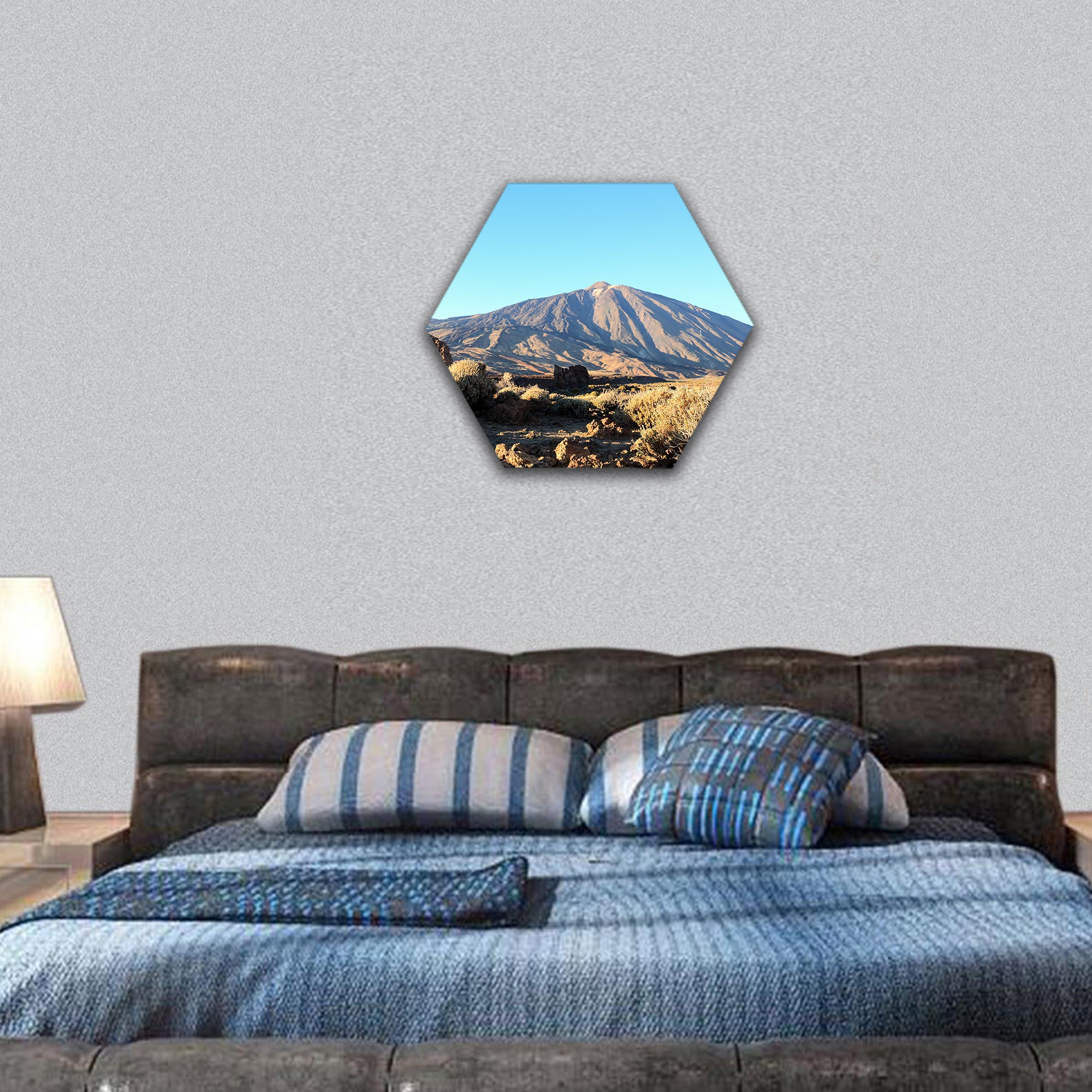 National Park Tenerife Canary Islands Spain hexagonal canvas wall art