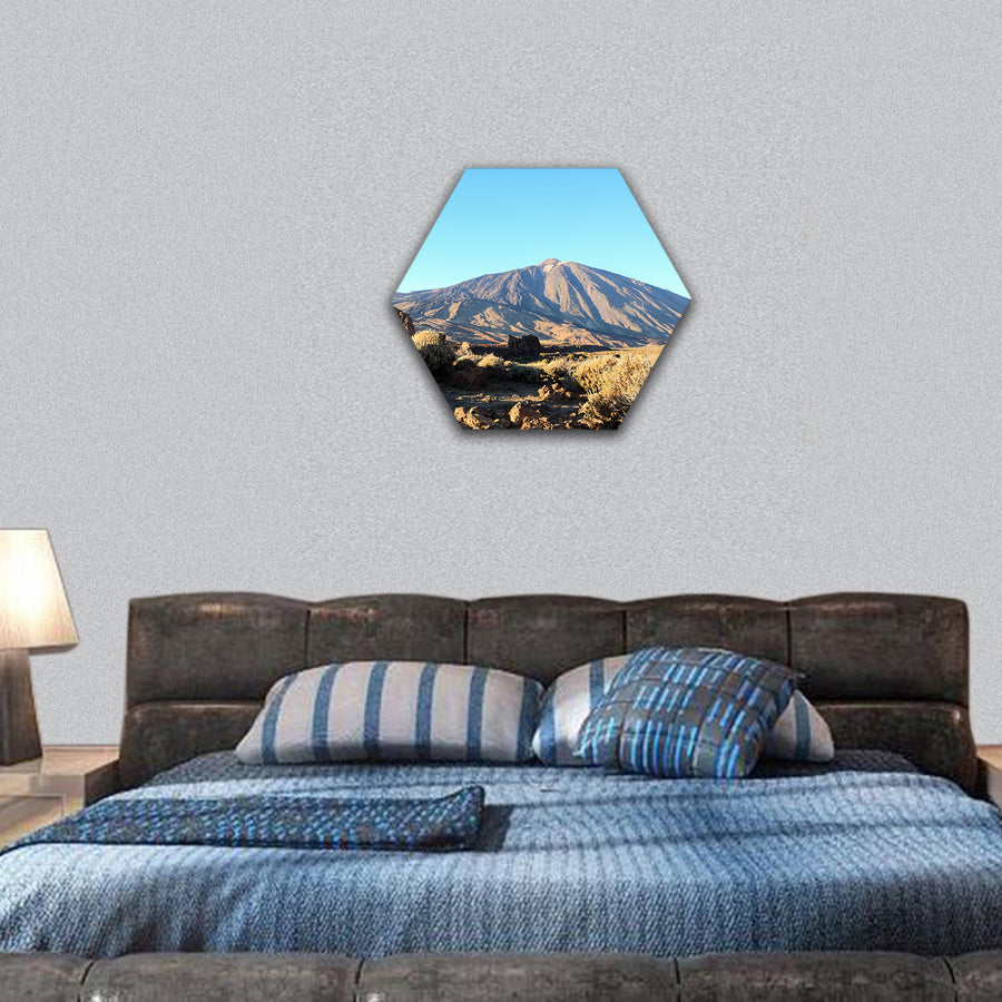 National Park Tenerife Canary Islands Spain hexagonal canvas wall art