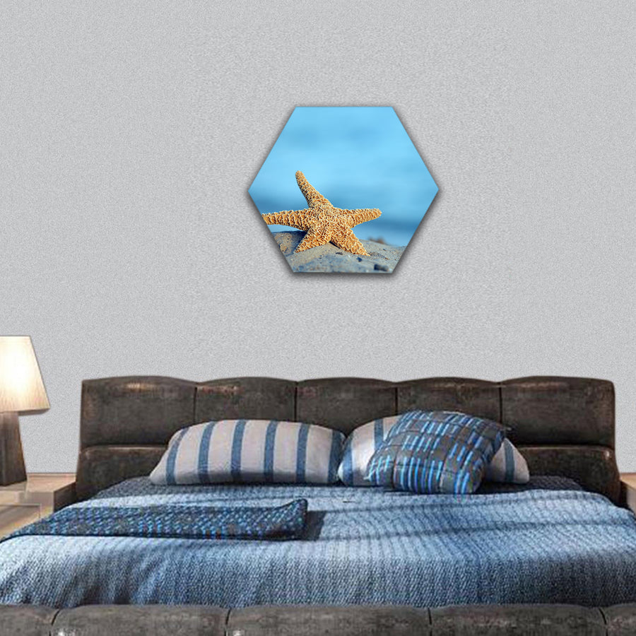 Beautiful starfish on sandy beach hexagonal canvas wall art