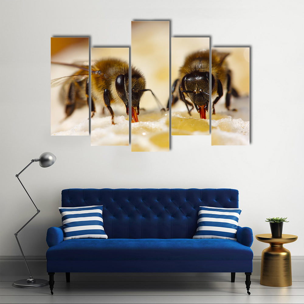 Honey Bees Sucking The Juice From The Ventricles Of The Flower, To Feed Their Young Ones, Multi Panel Canvas Wall Art